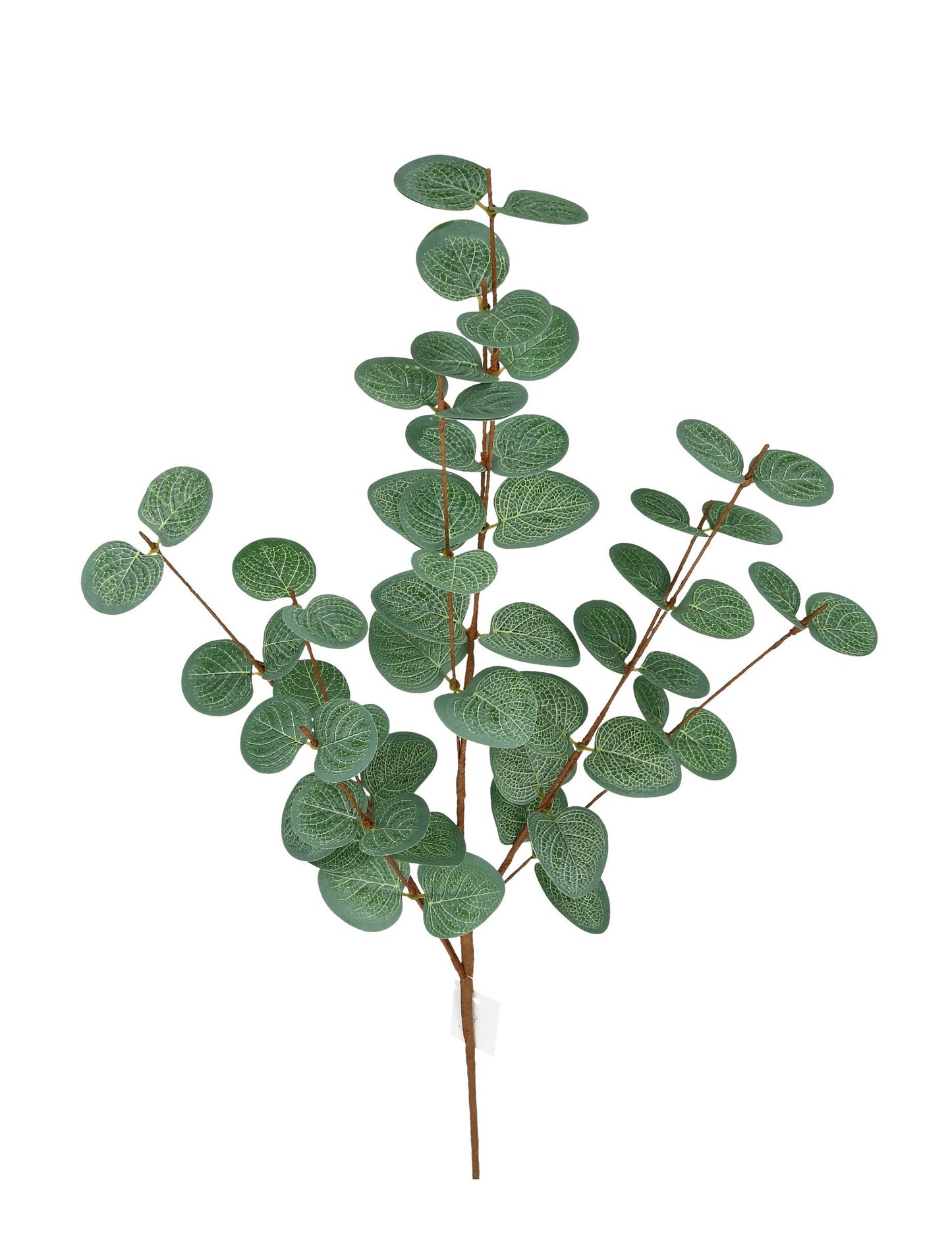 Zweig Eukalyptus grün 80 cm