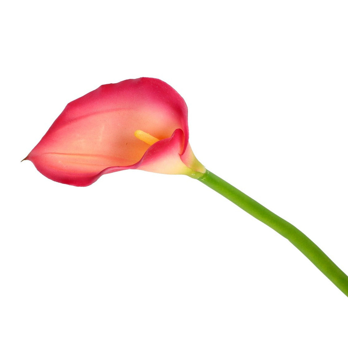 Blüte Calla rot oder gelb 70 cm